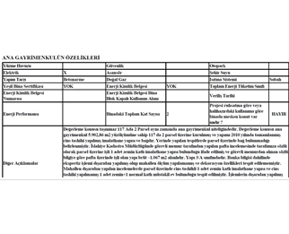 Leasing tesis